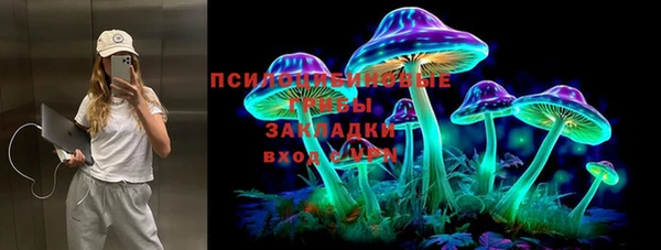 мдпв Белокуриха