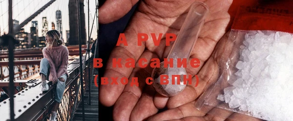 ПСИЛОЦИБИНОВЫЕ ГРИБЫ Козельск