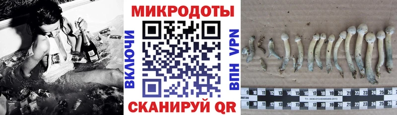 Псилоцибиновые грибы GOLDEN TEACHER  Верещагино 